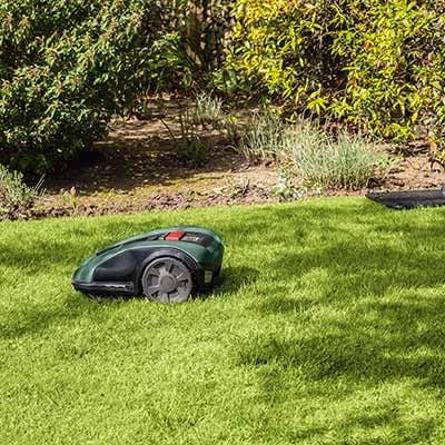 Hitta den bästa robotgräsklipparen